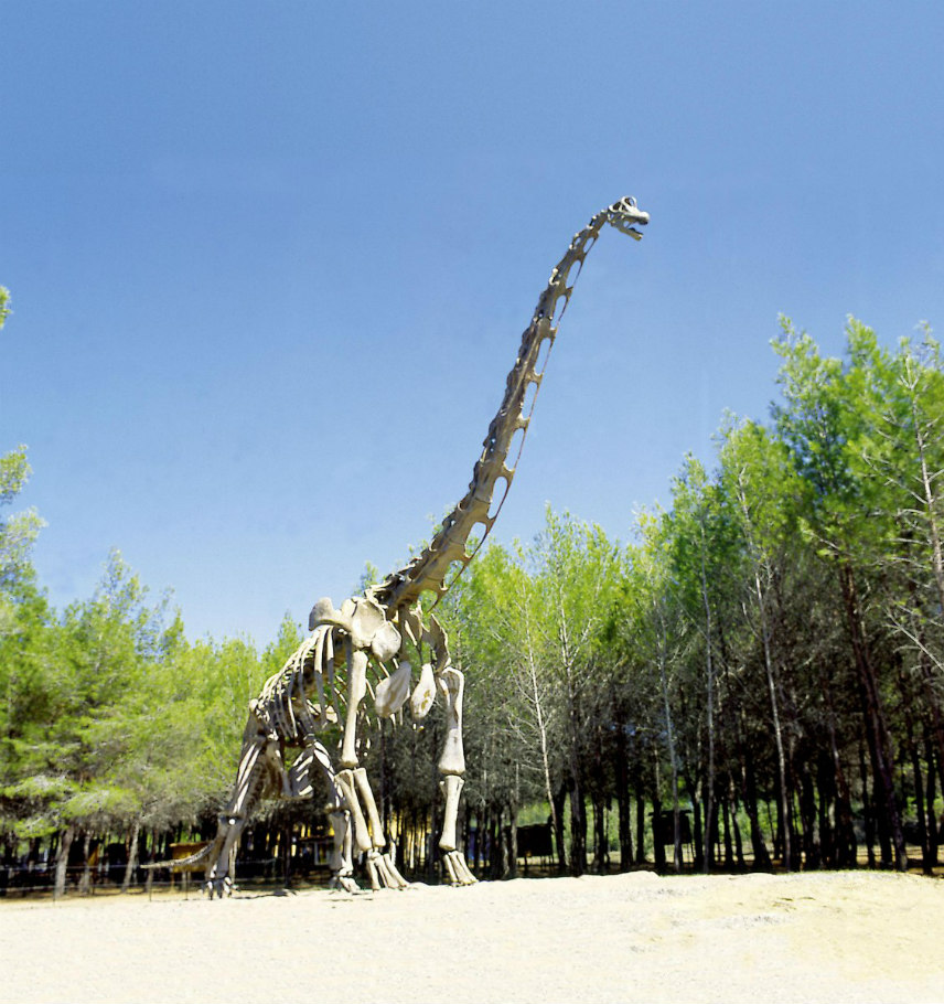 Dinosaure - Musée parc des Dinosaures et de la Préhistoire - Mèze